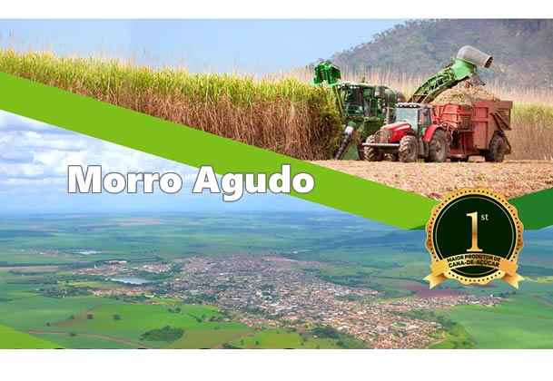 maior produtor de cana do Brasil, Morro Agudo