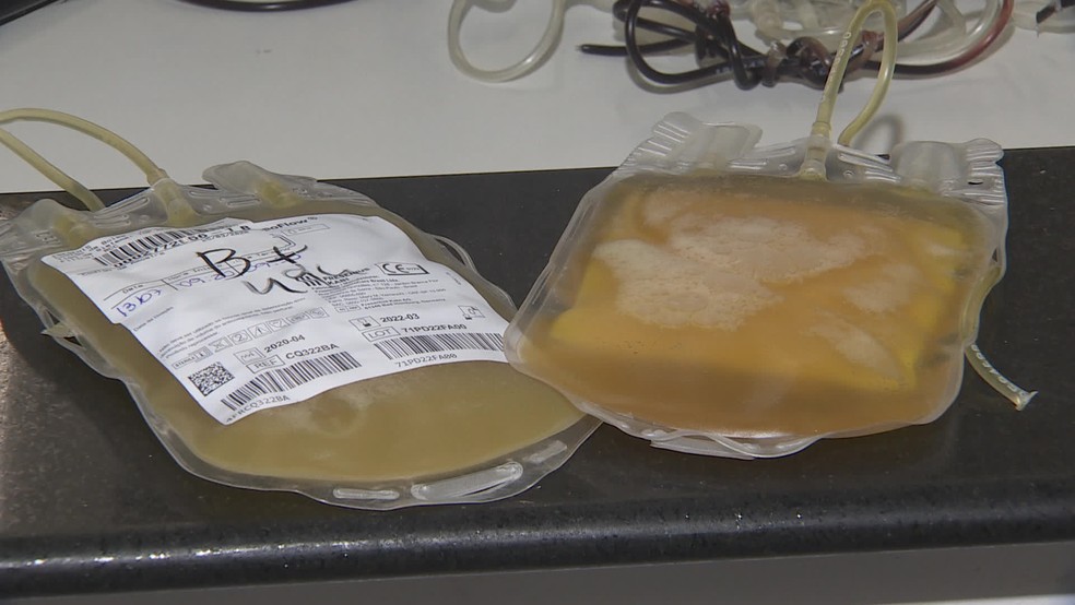 Plasma convalescente é usado para tratar pessoas contaminadas com o coronavírus — Foto: Reprodução/TV Globo