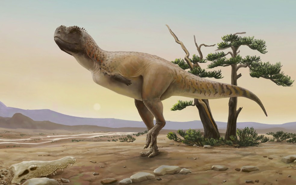Kurupi itaata,dinossauro monte alto,dinissauro carnívoro monte alto,dinossauros no Brasil